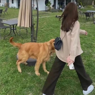 第六发现
