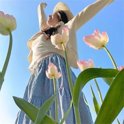 秦时明月之沧海横流